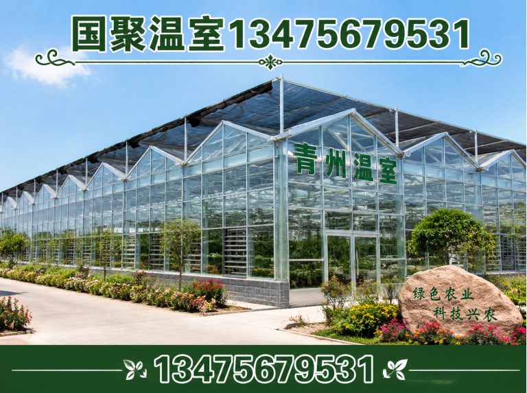 高密市连栋薄膜温室展示图
